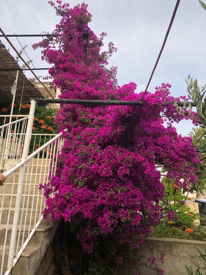 Cozy New Flat For 2 Or 3 Appartement Hvar Town Buitenkant foto