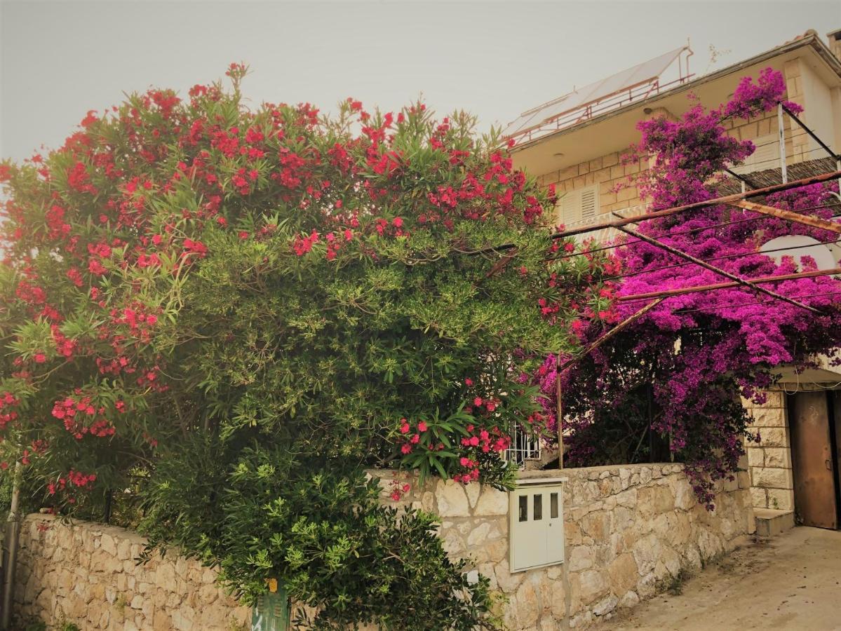 Cozy New Flat For 2 Or 3 Appartement Hvar Town Buitenkant foto