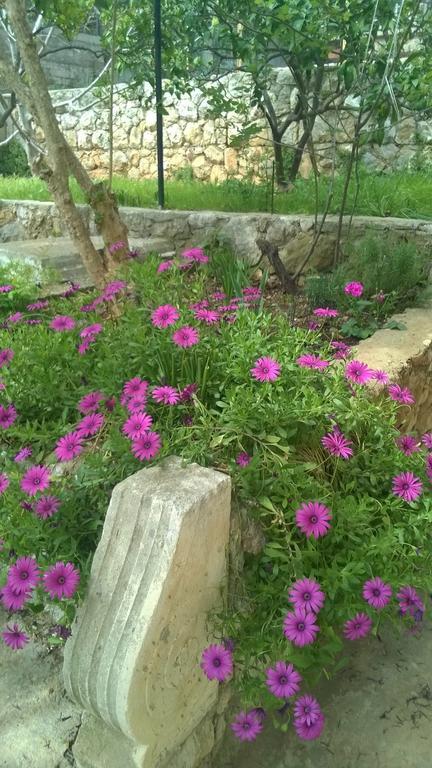 Cozy New Flat For 2 Or 3 Appartement Hvar Town Buitenkant foto