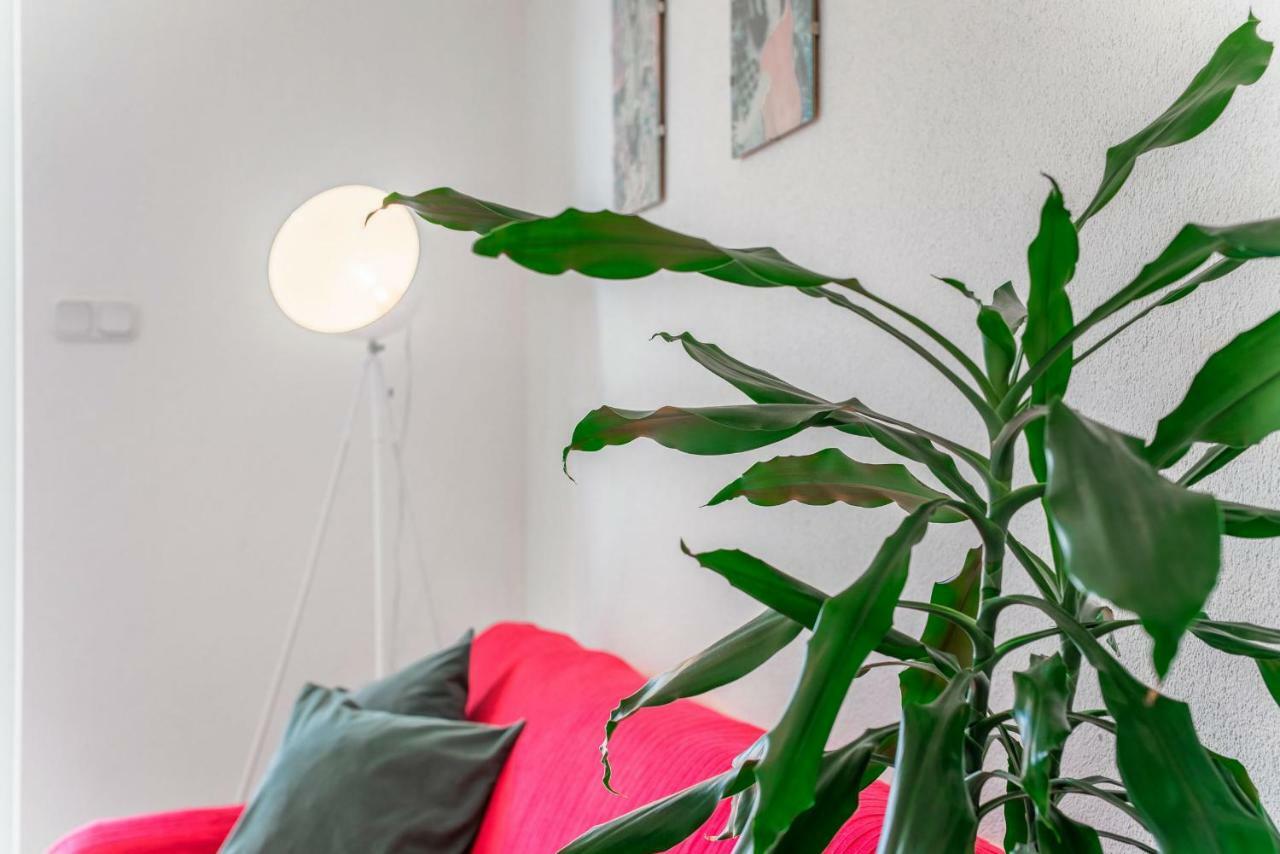 Cozy New Flat For 2 Or 3 Appartement Hvar Town Buitenkant foto
